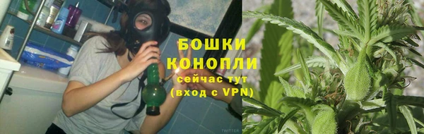 гидра Бородино