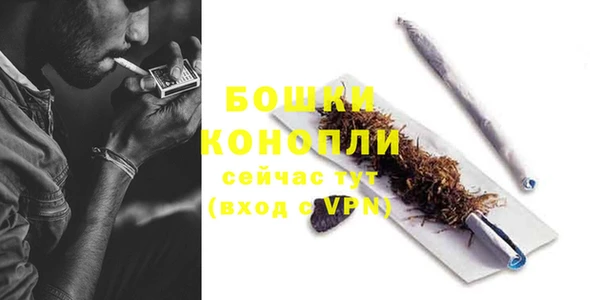 гидра Бородино