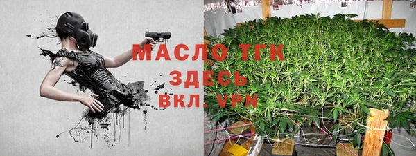 гидра Бородино
