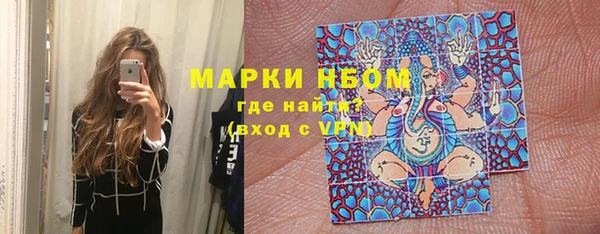 гидра Бородино