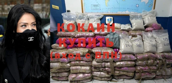 гидра Бородино