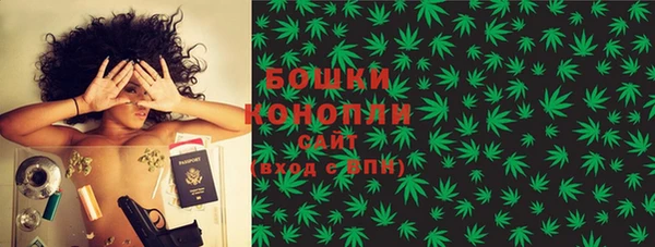 гидра Бородино